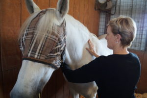 Fran Bell does energy work on a traumatized horse.